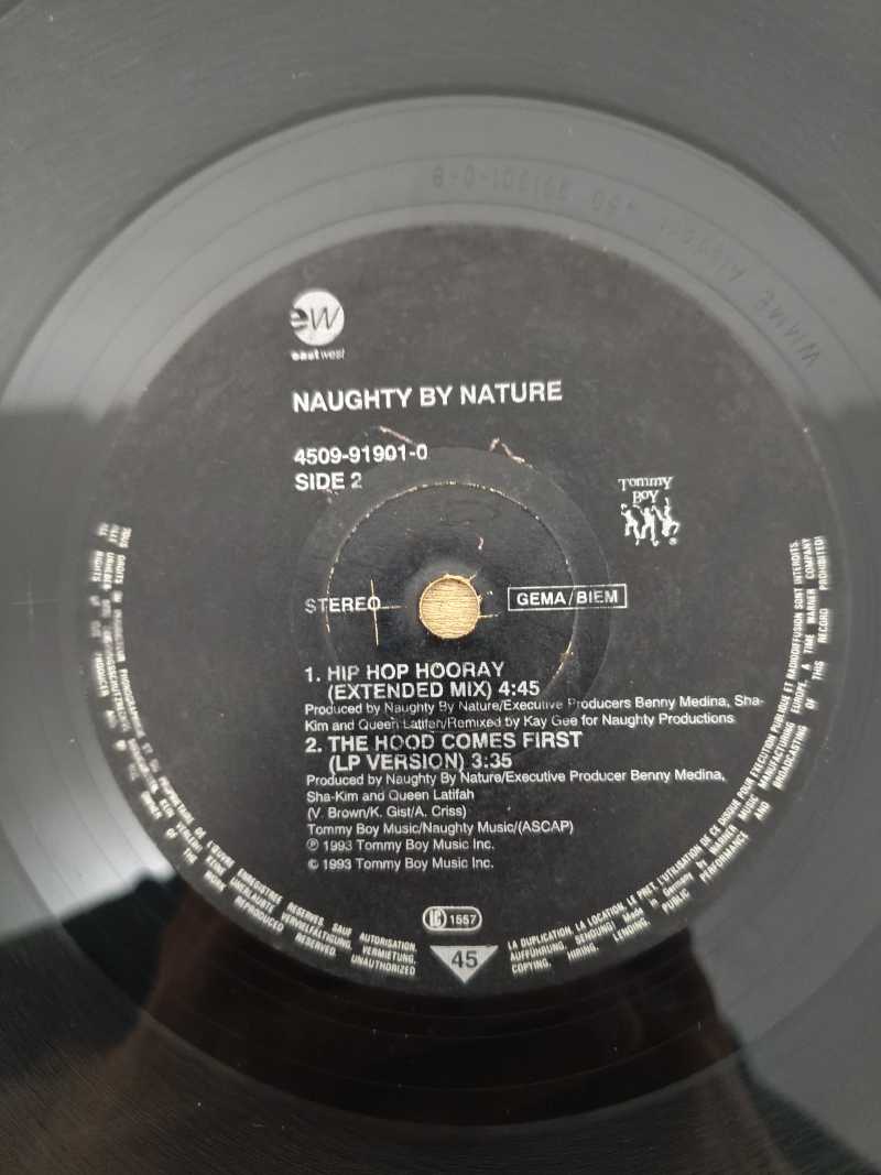 Lp Vinil Naughty By Nature Hip Hop Hooray Importado