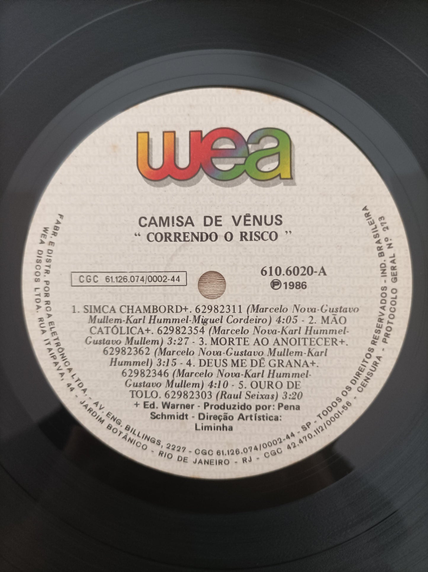 Disco Vinil Correndo O Risco Camisa de Vênus A