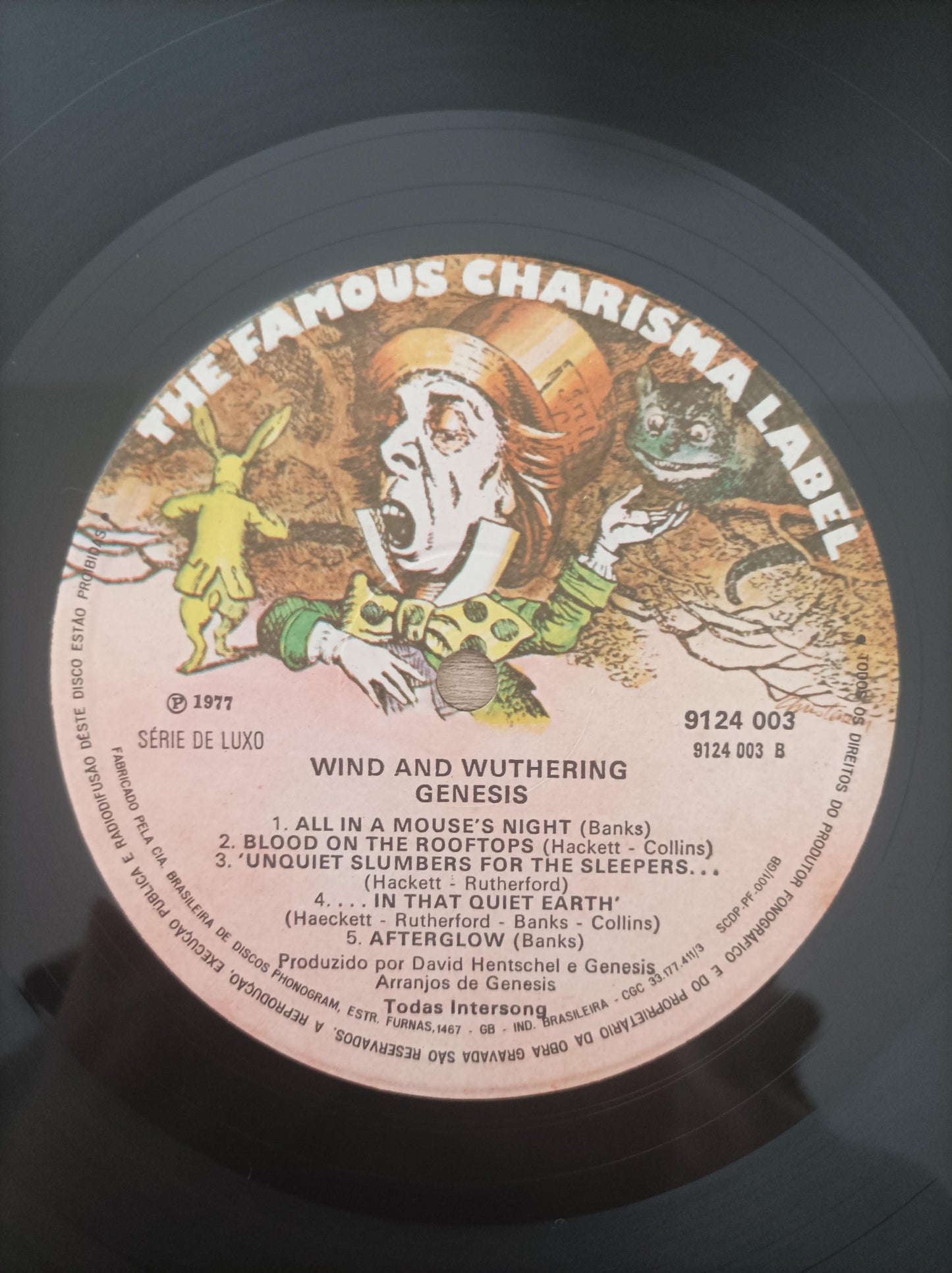 Disco Vinil Wind & Wuthering Genesis A