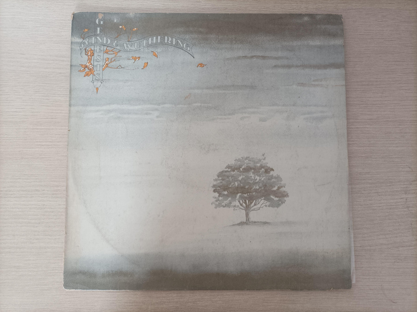 Disco Vinil Wind & Wuthering Genesis A