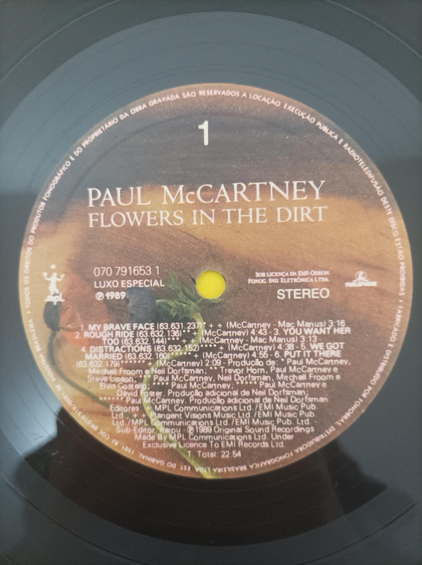 Lp Vinil Paul McCartney Flowers In The Dirt Com Encarte
