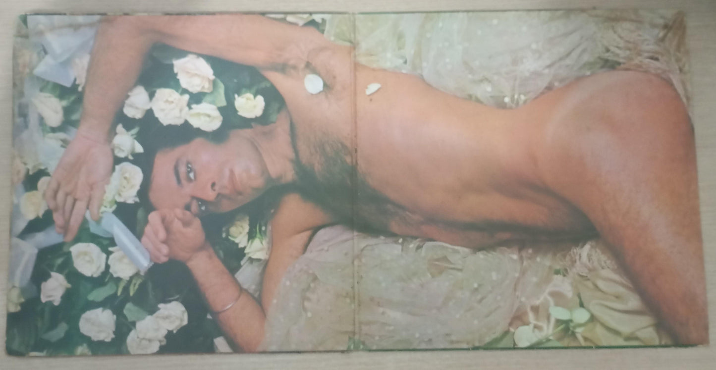 Lp Vinil Ney Matogrosso Feitiço Capa Dupla