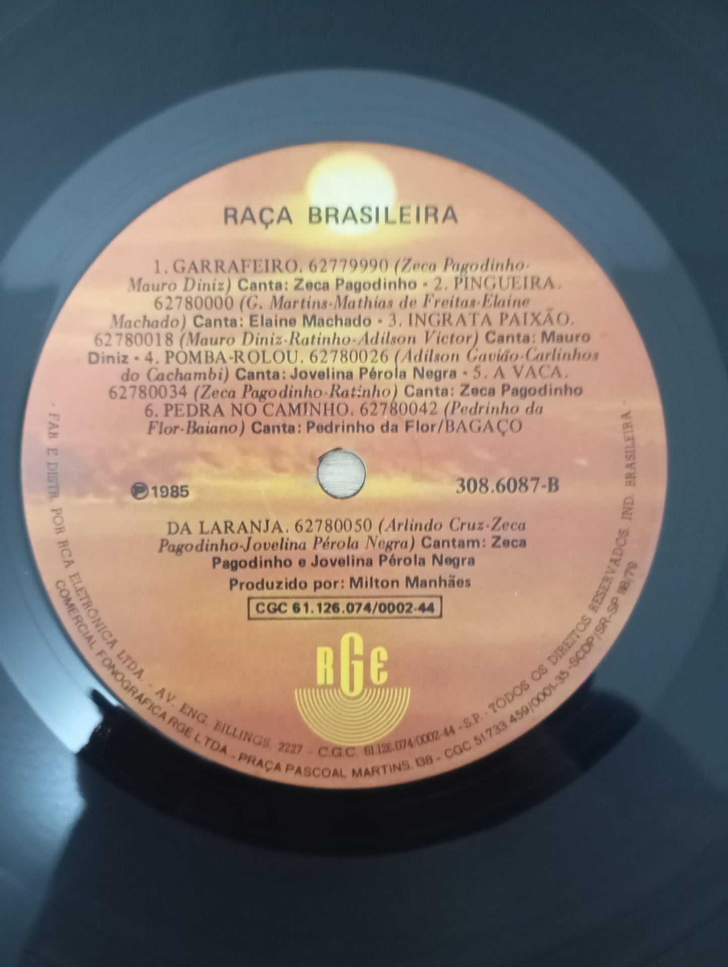 Lp Vinil Raça Brasileira