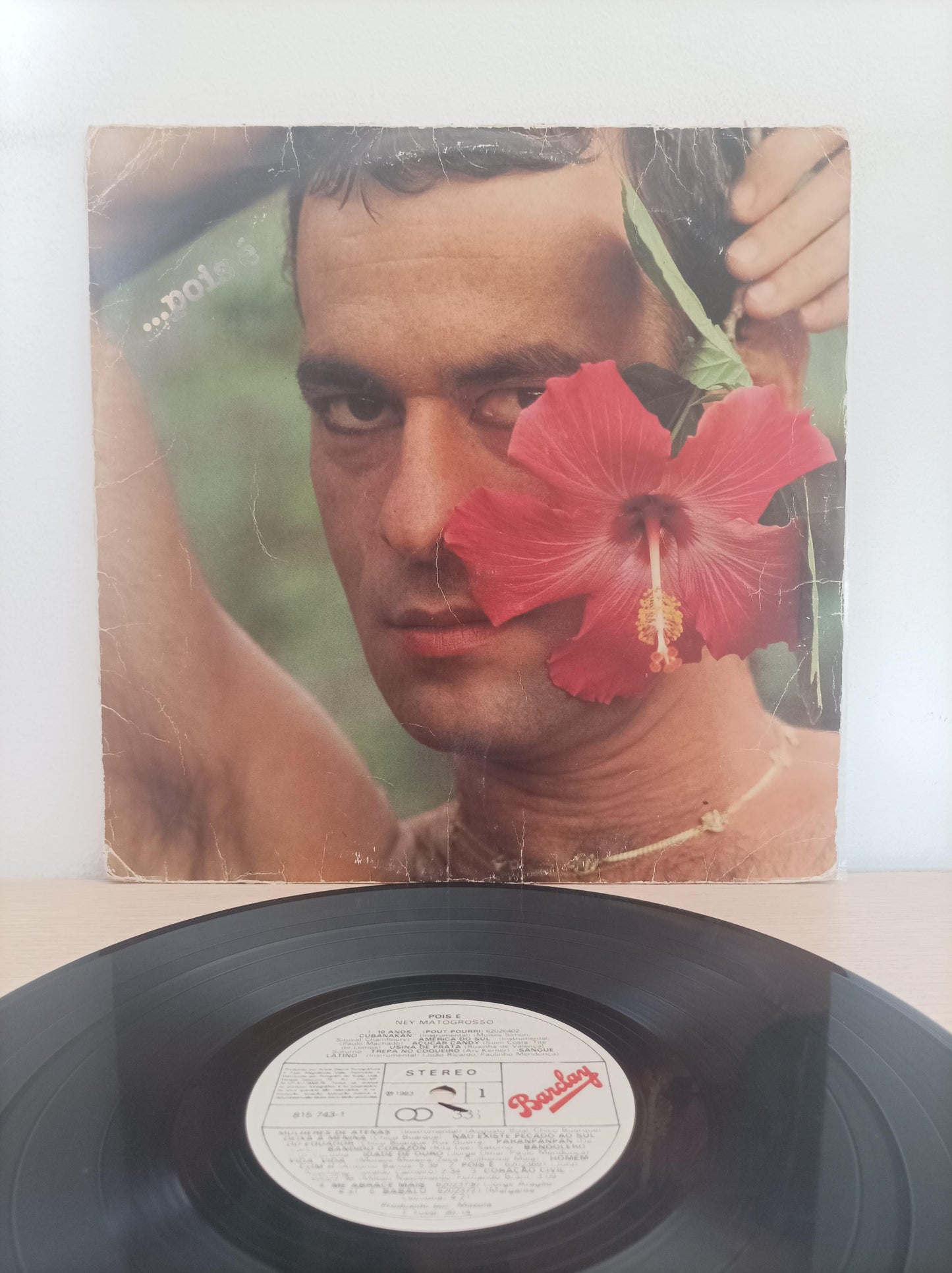 Lp Vinil Ney Matogrosso ...Pois É