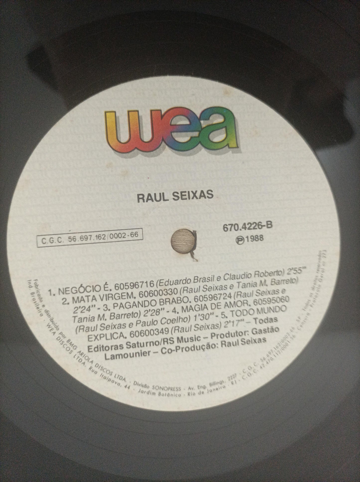 Lp Vinil Raul Seixas Mata Virgem