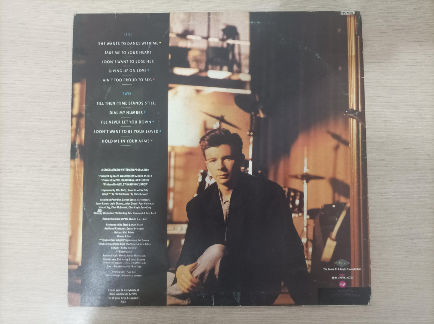 Lp Vinil Rick Astley Hold Me In Your Arms Com Encarte