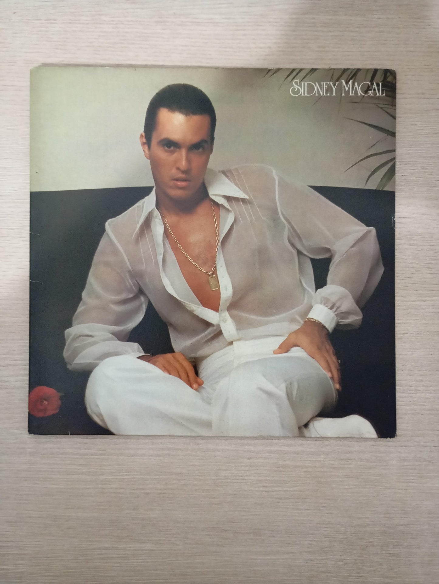 Lp Vinil Sidney Magal 1980 Capa Dupla
