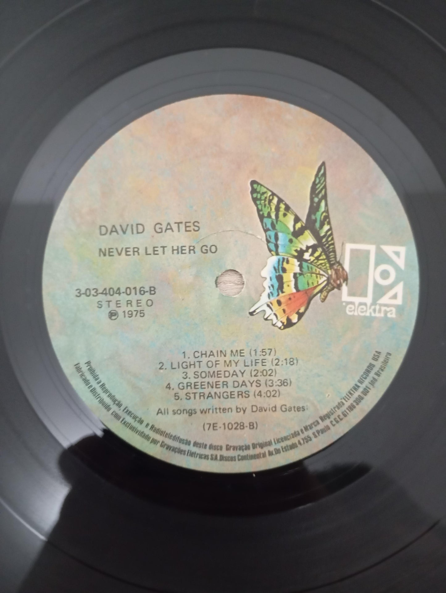 Lp Vinil David Gates Never Let Her Go
