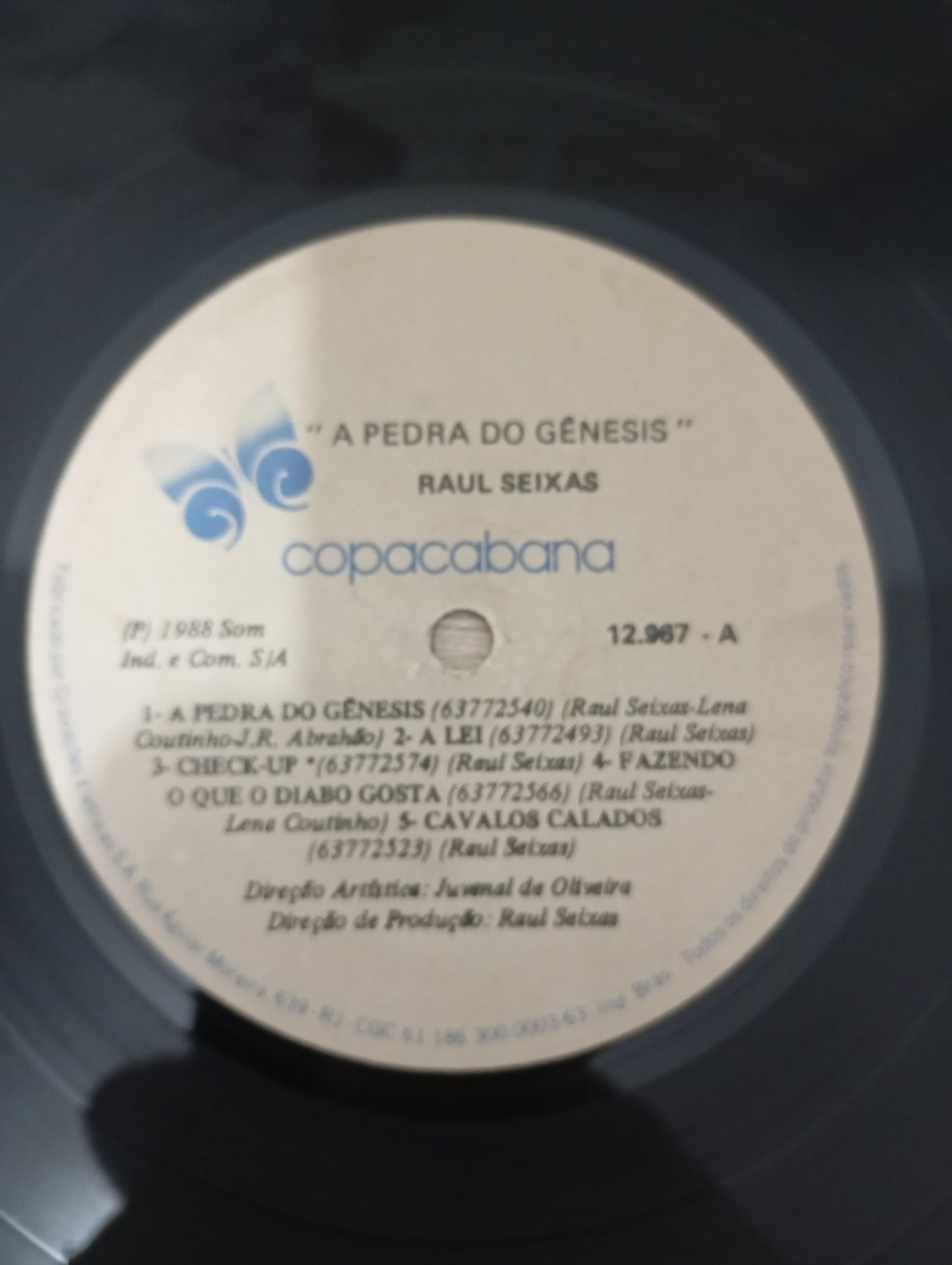 Lp Vinil Raul Seixas A Pedra Do Gênesis