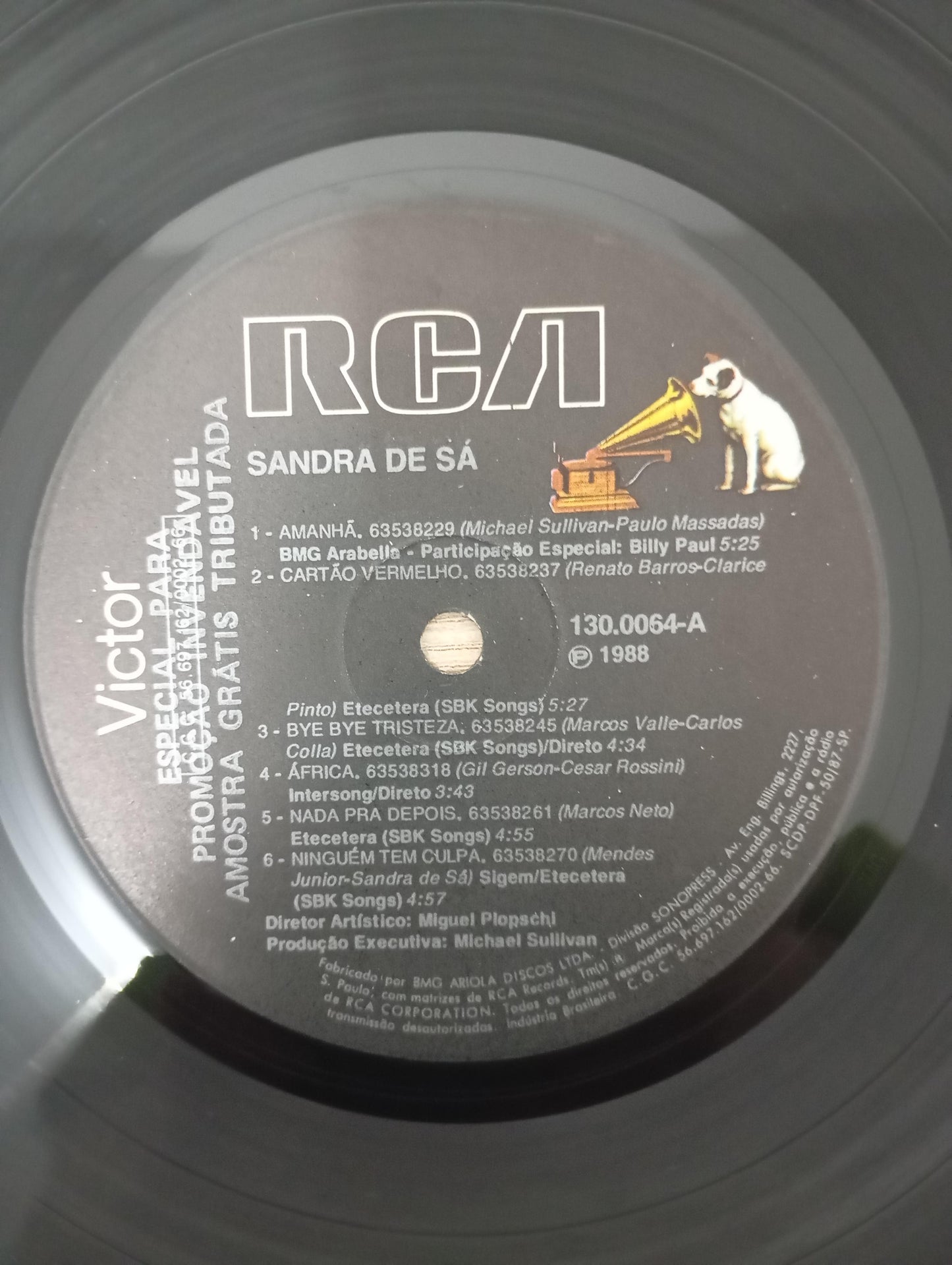 Lp Vinil Sandra De Sá 1988 Com Encarte