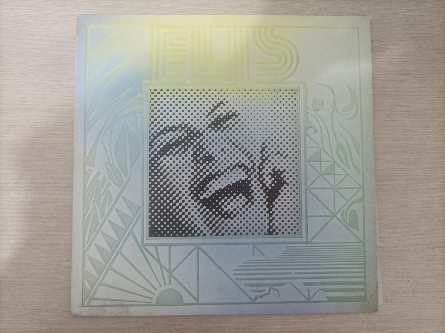 Disco Vinil 1980 Elis Regina Com Encarte A