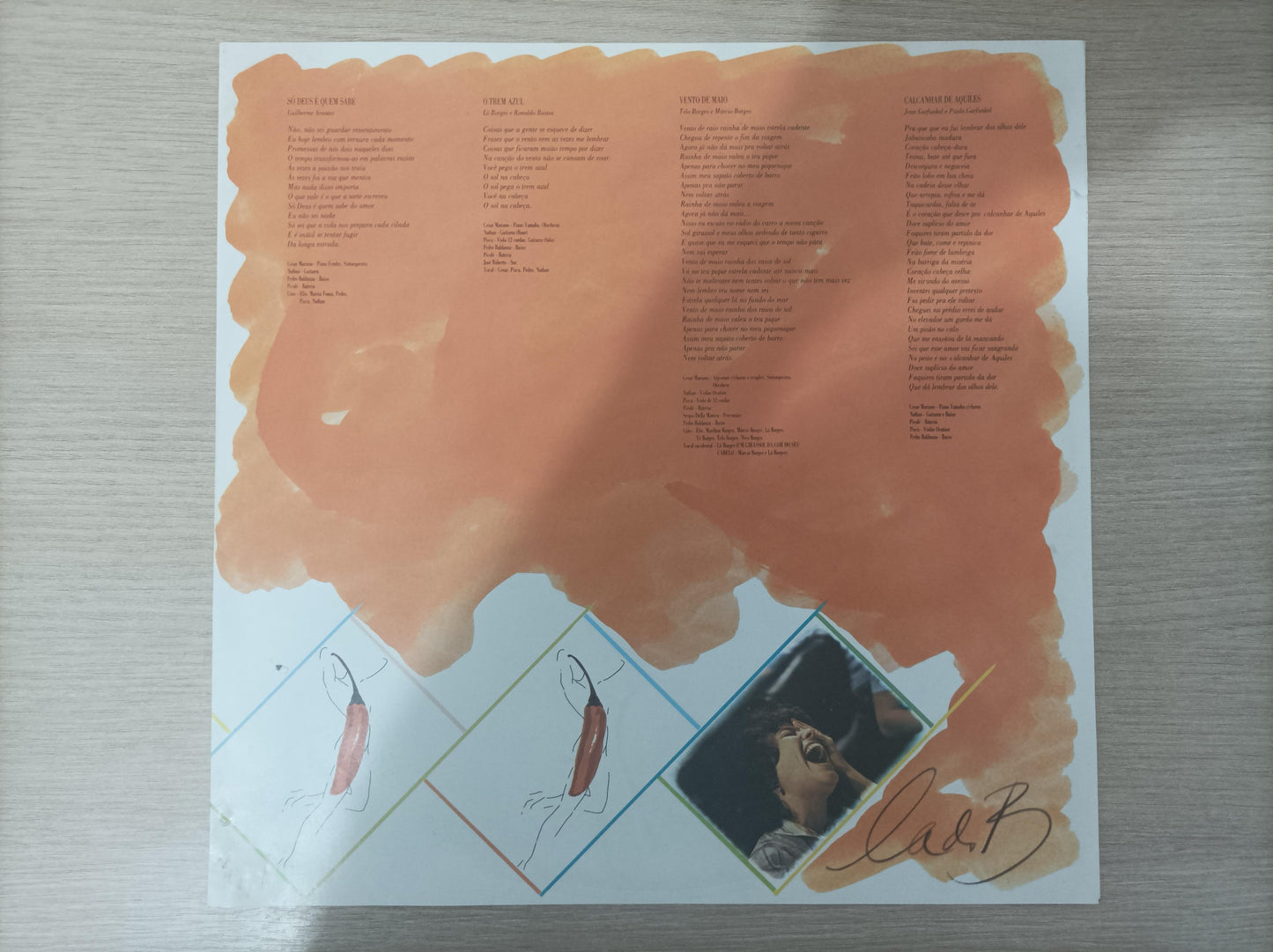 Disco Vinil 1980 Elis Regina Com Encarte A