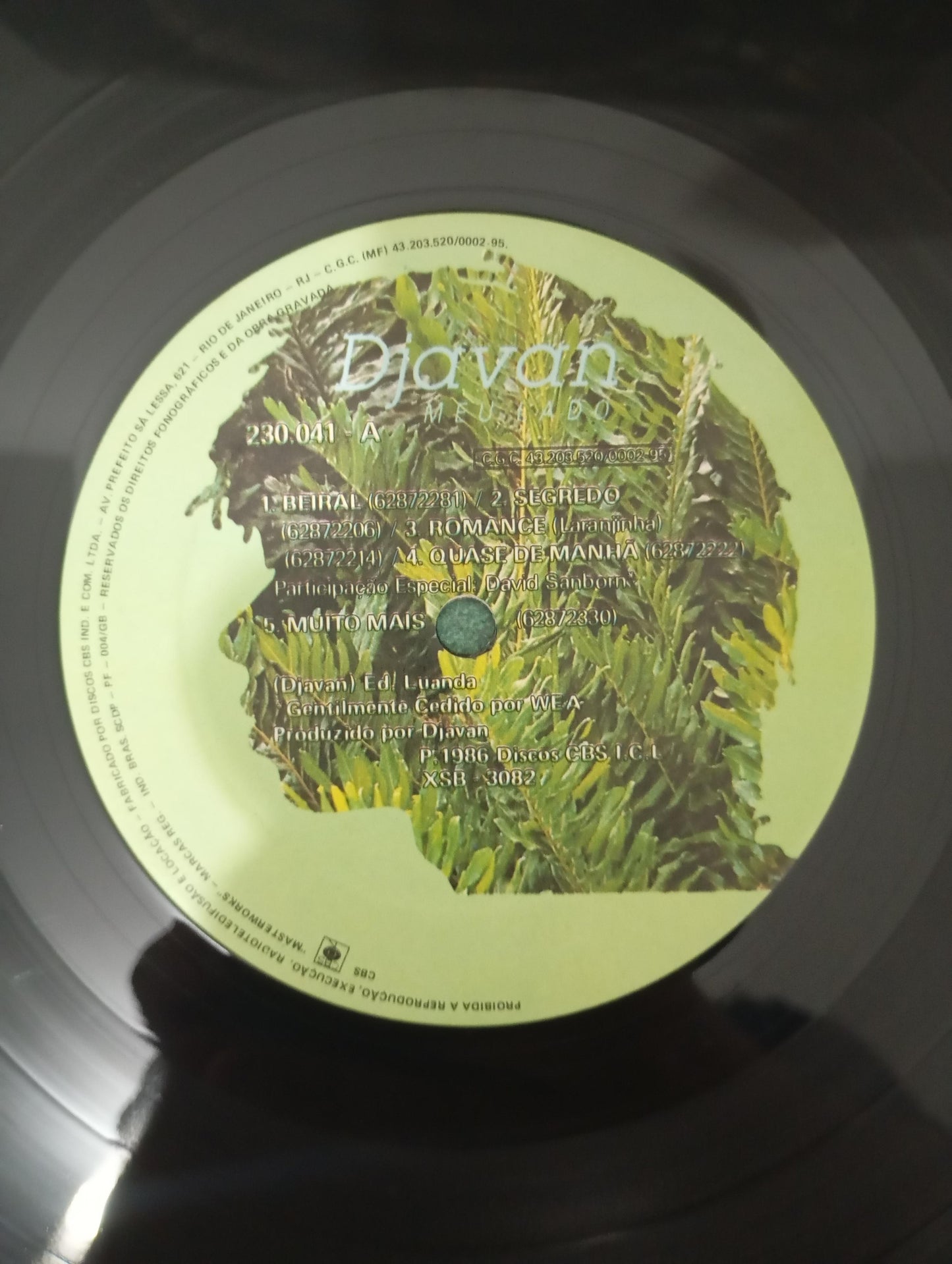 Lp Vinil Djavan Meu Lado Capa Dupla Com Encarte