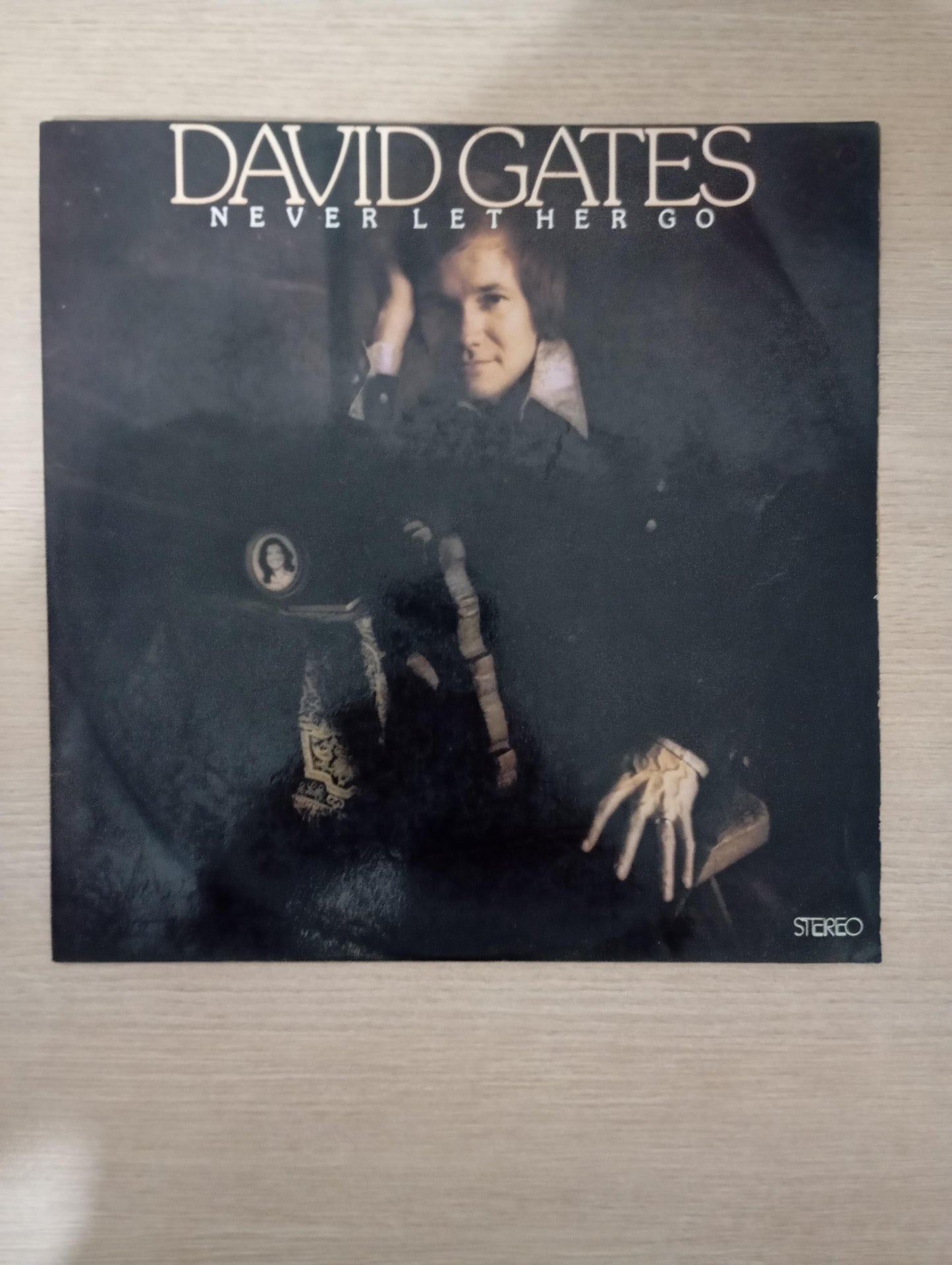 Lp Vinil David Gates Never Let Her Go