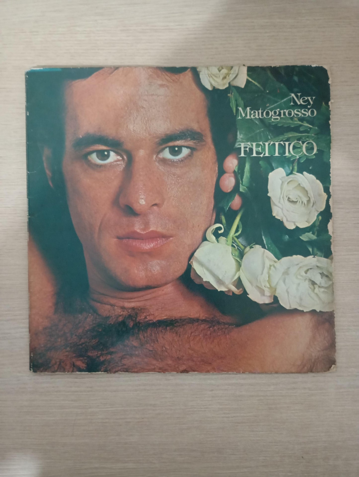 Lp Vinil Ney Matogrosso Feitiço Capa Dupla