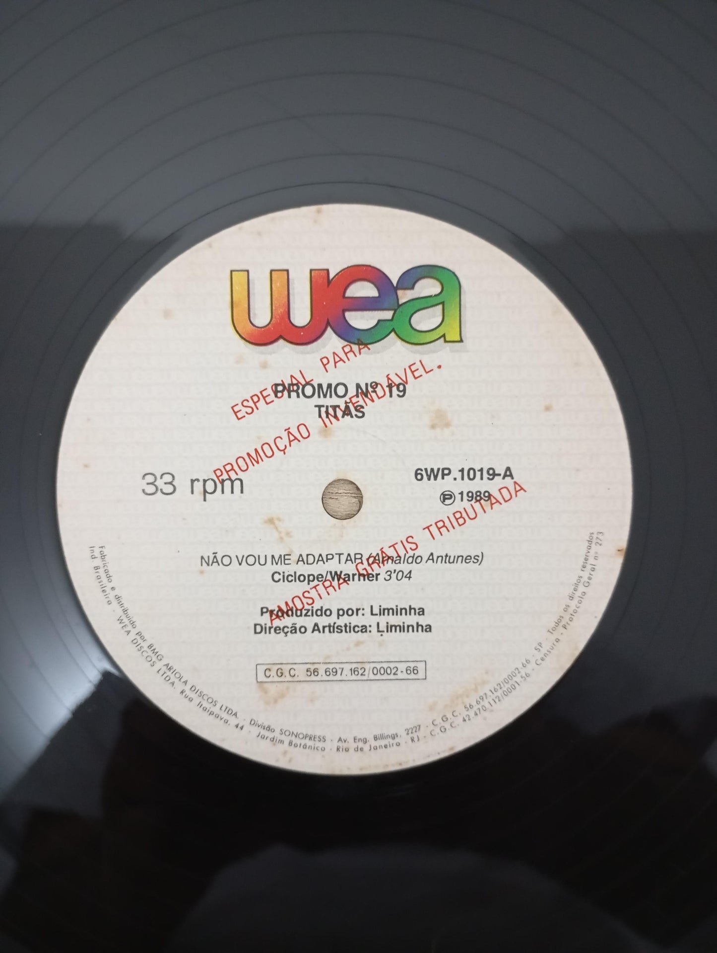 Lp Vinil Titãs Não Vou Me Adaptar Single