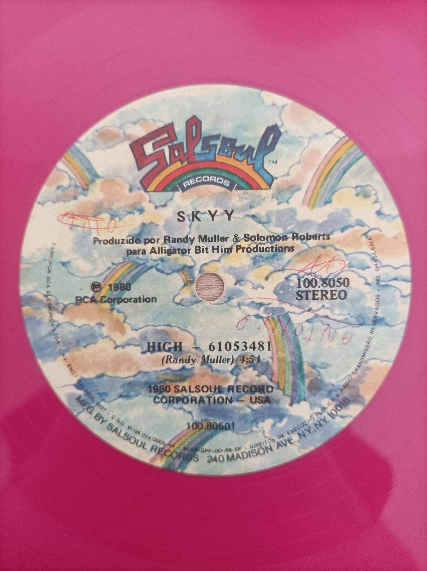 Lp Vinil Skyy High / Skyy Zoo