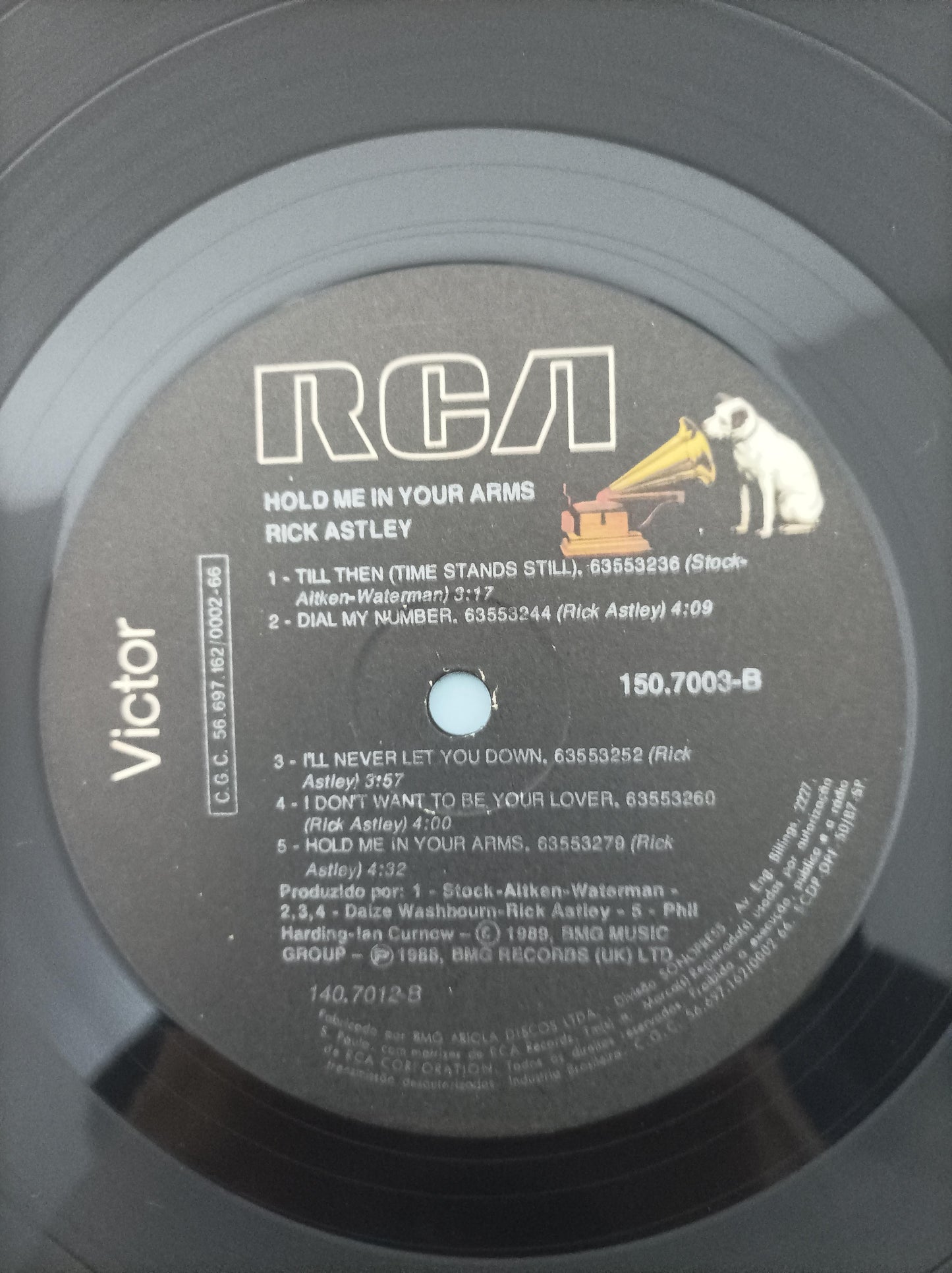 Lp Vinil Rick Astley Hold Me In Your Arms Com Encarte