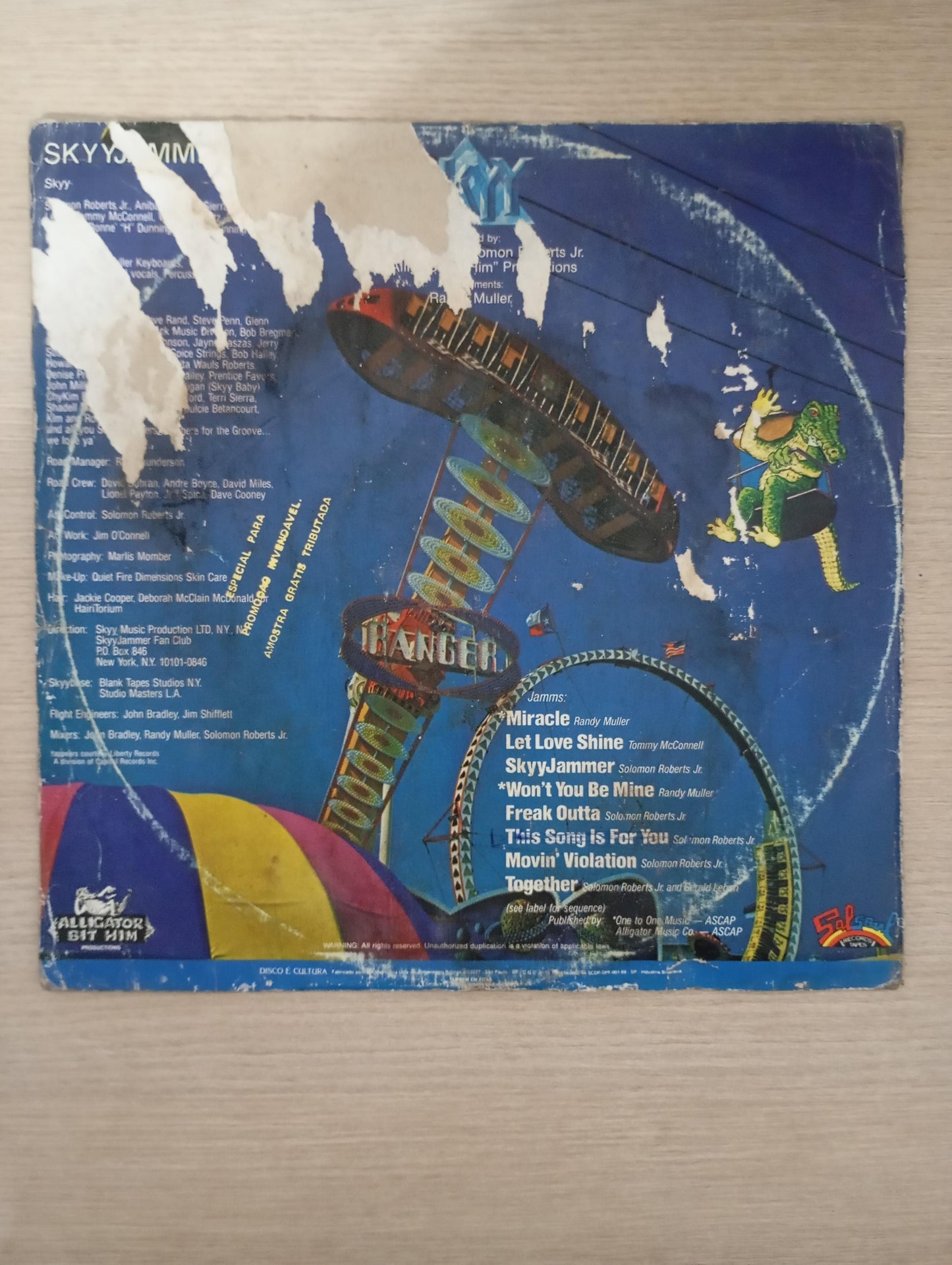 Lp Vinil Skyy Skyyjammer