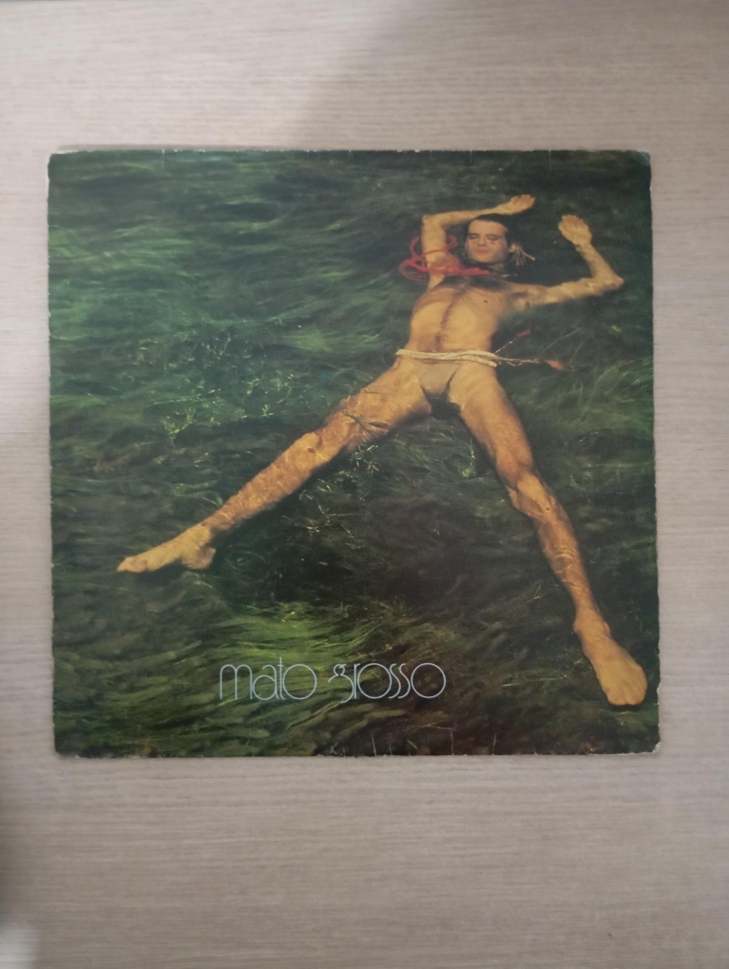 Lp Vinil Ney Matogrosso 1982 Com Encarte