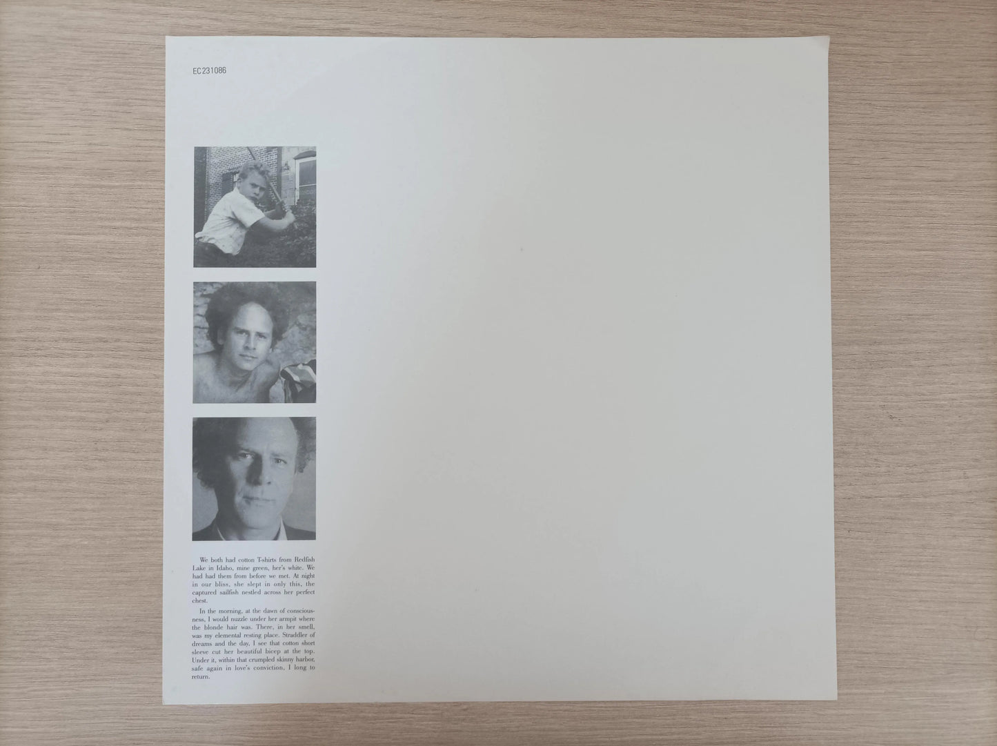 Lp Vinil Art Garfunkel Lefty Com Encarte