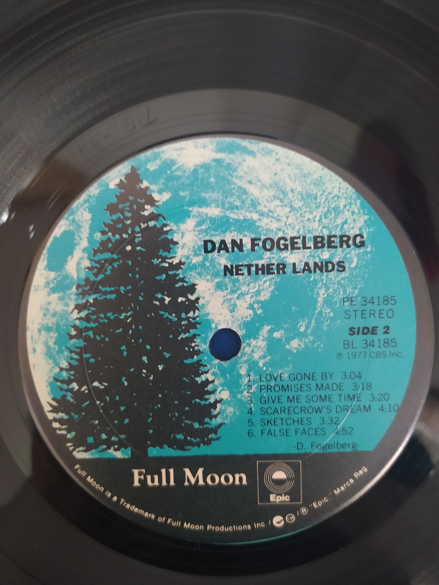 Lp Vinil Dan Fogelberg Nether Lands Com Encarte Importado