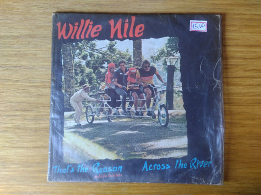 Lp Vinil Compacto Willie Nile That's The Reason