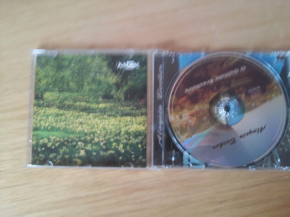 Cd Aloysio Becker O Gaitista Brasileiro