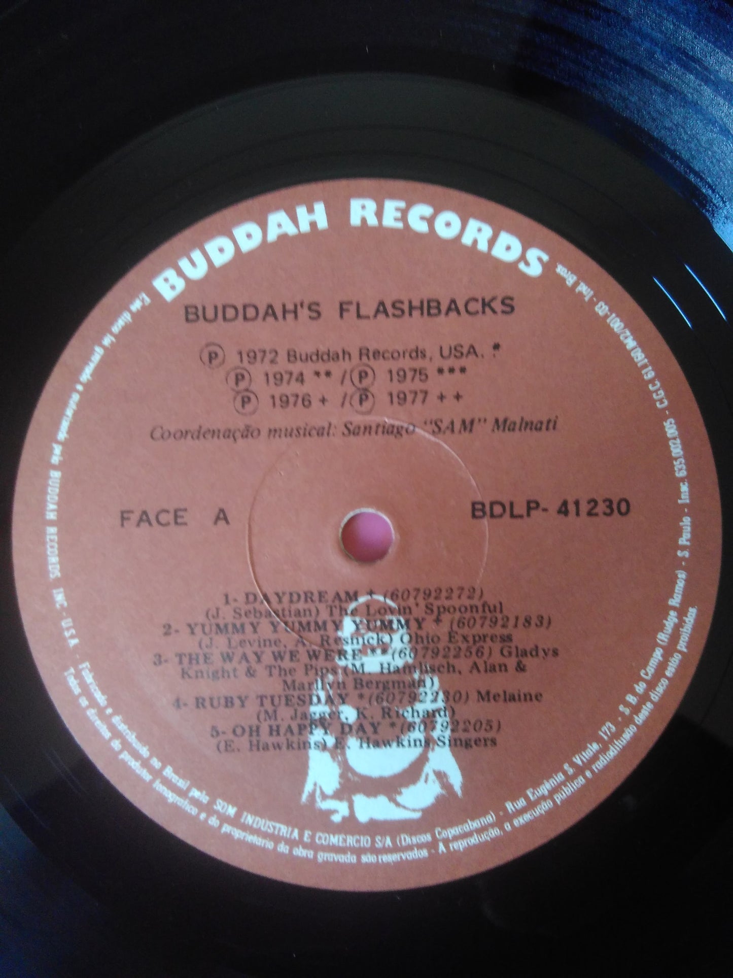 Lp Vinil Buddah's Flashbacks