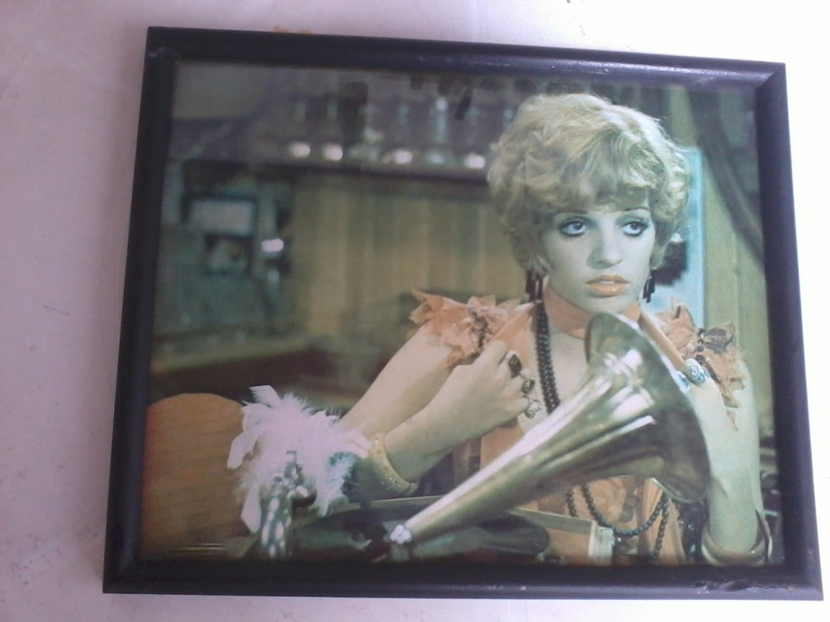 Quadro Liza Minnelli - (anos 70)