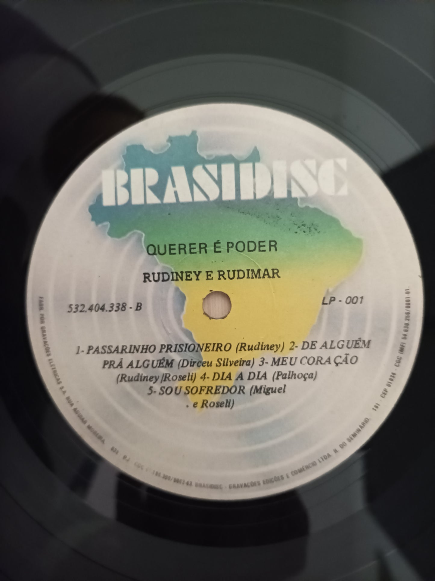 Lp Vinil Rudiney e Rudimar Querer é poder