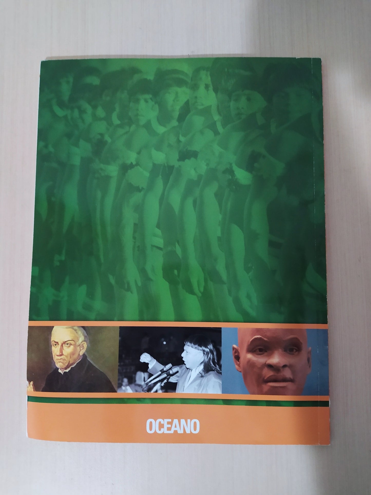Livro Povos Indígenas Do Brasil - Oceano