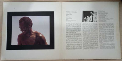 Lp Vinil Miles Davis Bitches Brew Duplo