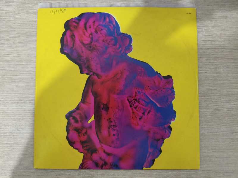 Lp Vinil New Order Technique Com Encarte