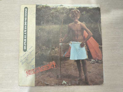 Lp Vinil Os Paralamas Do Sucesso Selvagem?