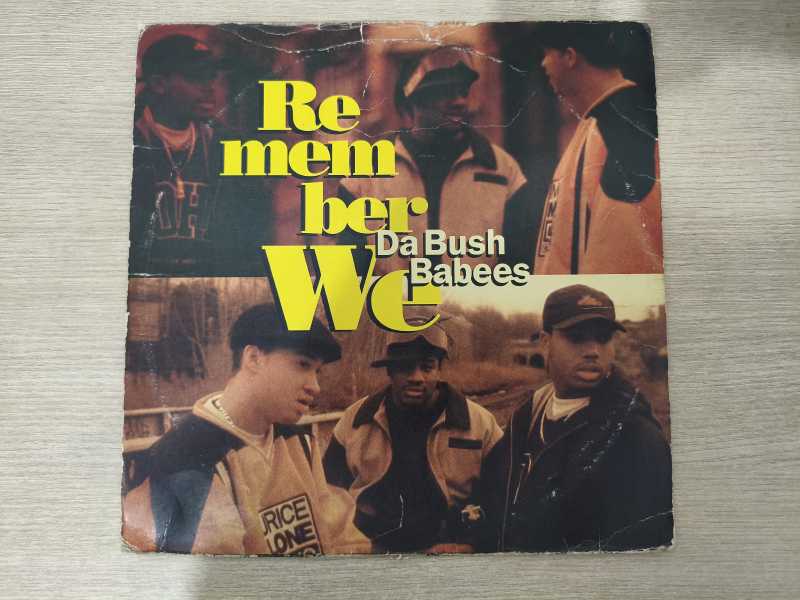 Lp Vinil Da Bush Babees Remember We Importado