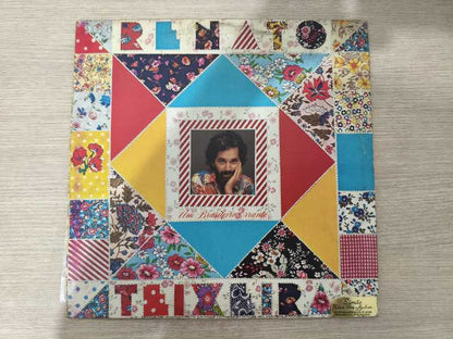 Lp Vinil Renato Teixeira Um Brasileiro Errante Com Encarte