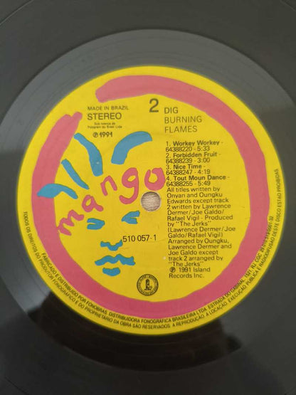 Lp Vinil Burning Flames Dig