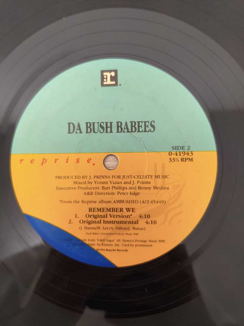Lp Vinil Da Bush Babees Remember We Importado