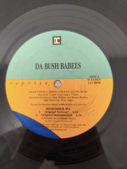 Lp Vinil Da Bush Babees Remember We Importado