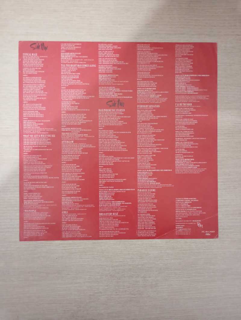 Lp Vinil Tina Turner Break Every Rule Com Encarte