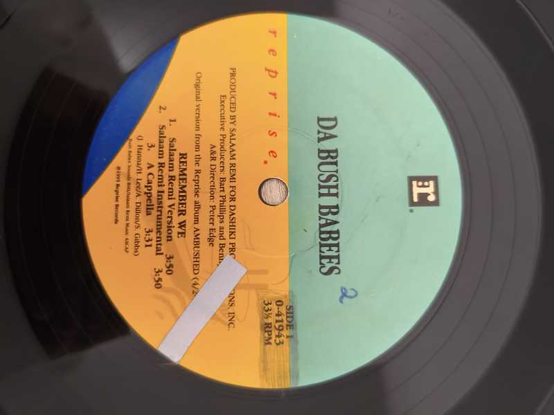 Lp Vinil Da Bush Babees Remember We Importado