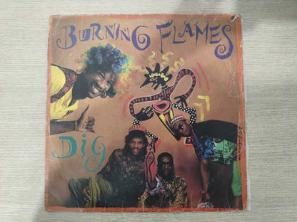 Lp Vinil Burning Flames Dig