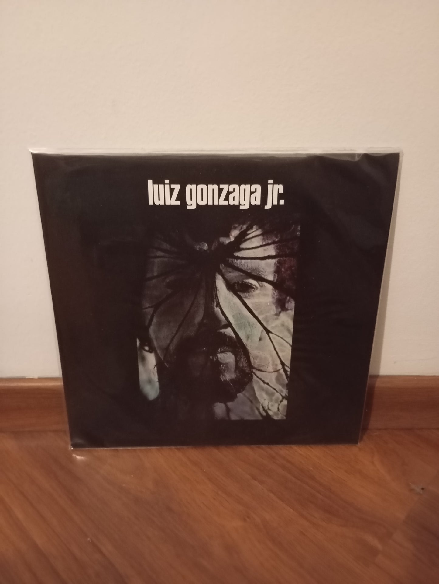 Lp Vinil Gonzaguinha Luiz Gonzaga Jr. Novo Lacrado