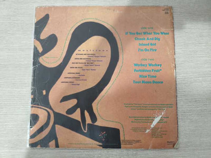 Lp Vinil Burning Flames Dig