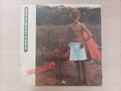 Disco Vinil Selvagem? Os Paralamas Do Sucesso Com Encarte A