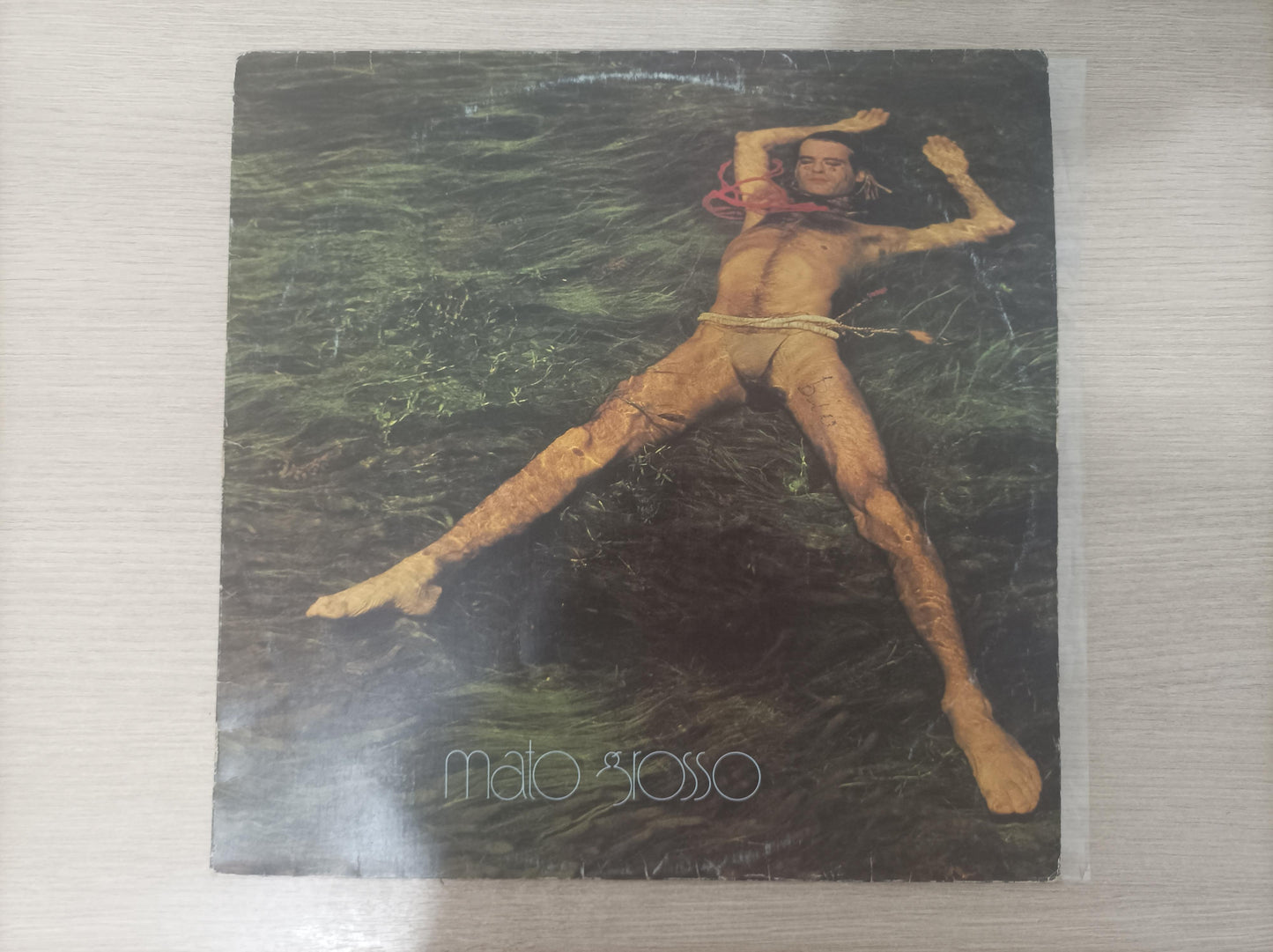 Disco Vinil Mato Grosso Ney Matogrosso Com Encarte A