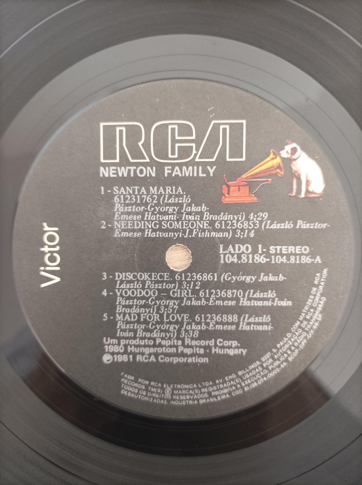 Lp Vinil Newton Family