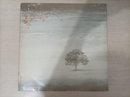 Disco Vinil Wind & Wuthering Genesis Com Encarte A