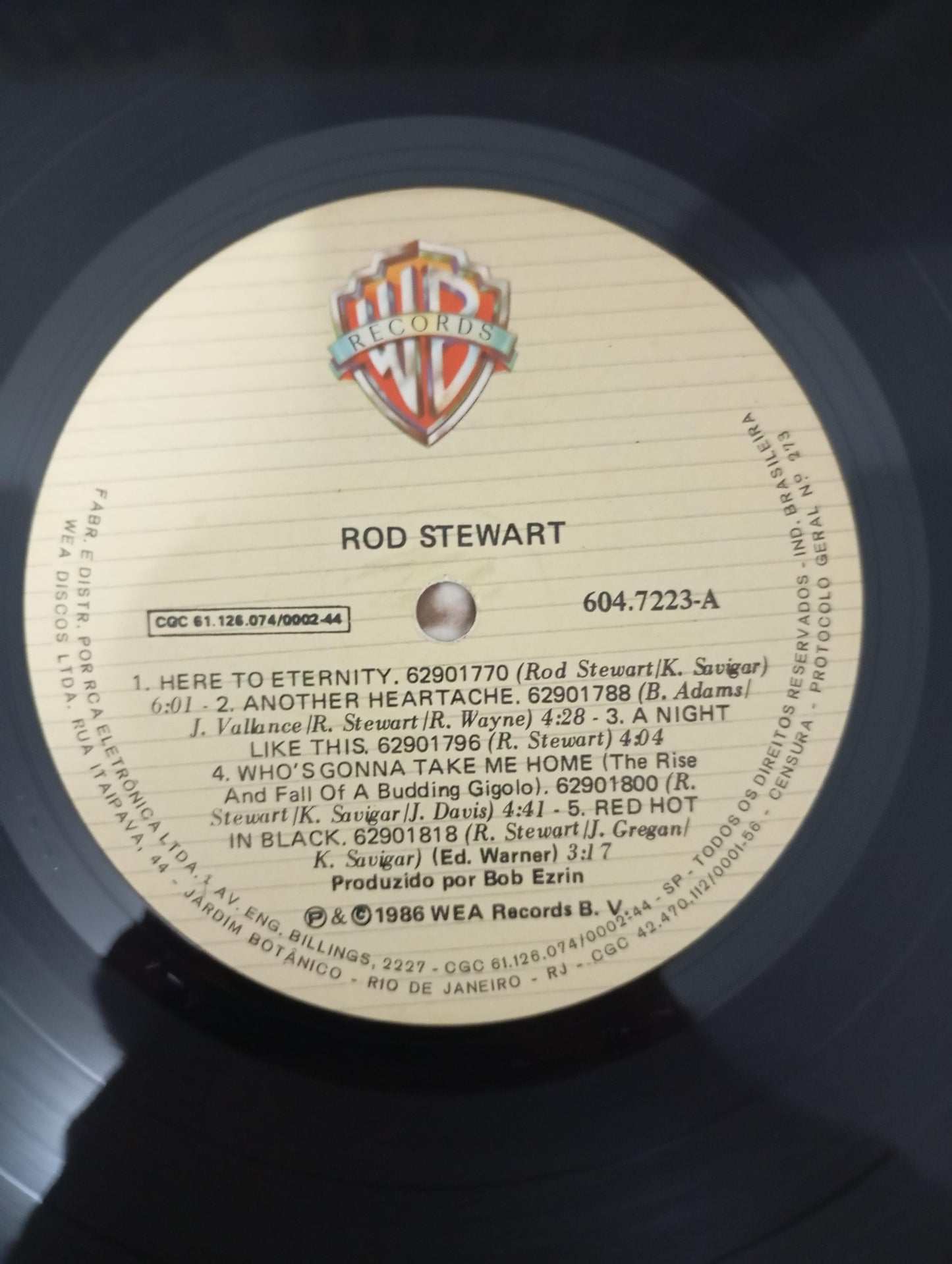 Lp Vinil Rod Stewart 1986 Com Encarte
